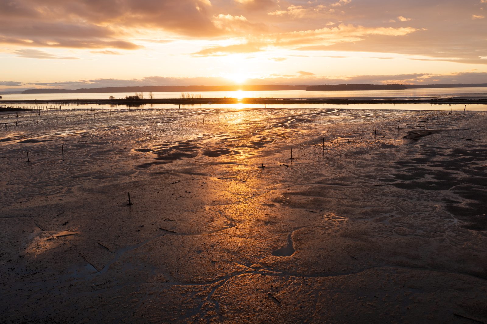 Sunset reflecting across wet tide flats on Puget Sound